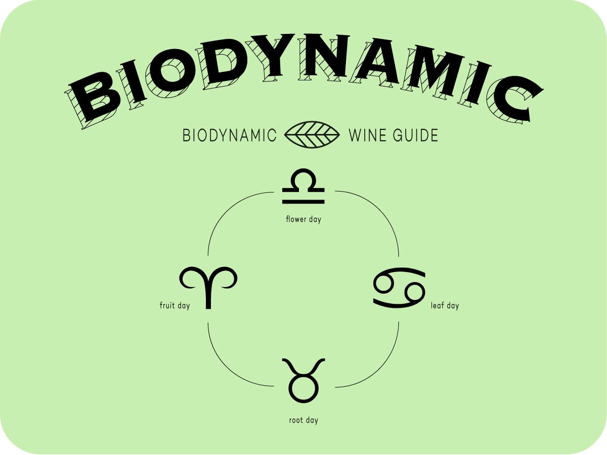 biodynamický-sprievodca po víne