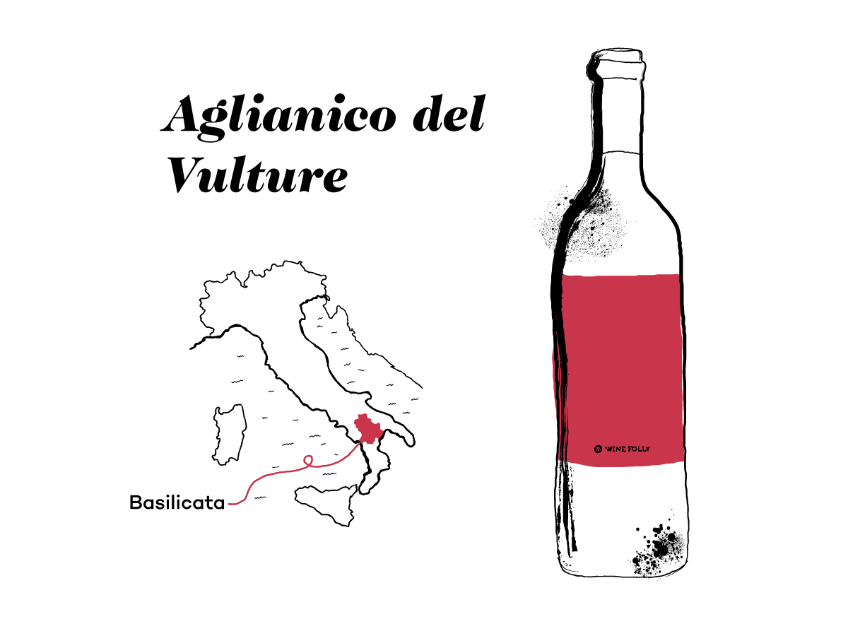 aglianico-del-vulture-ilustracija-winefolly