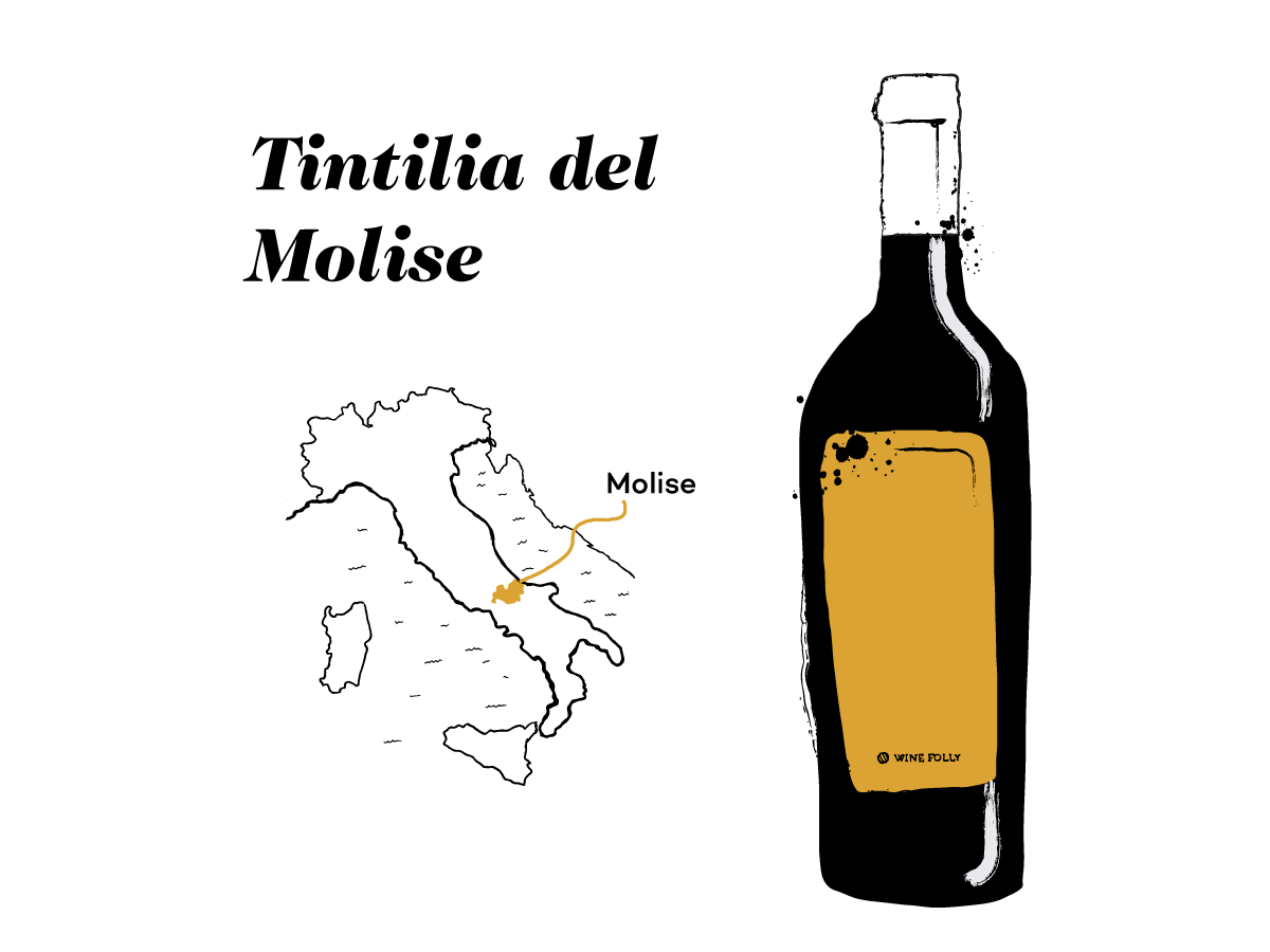 tintilia-molise-ilustracija-winefolly