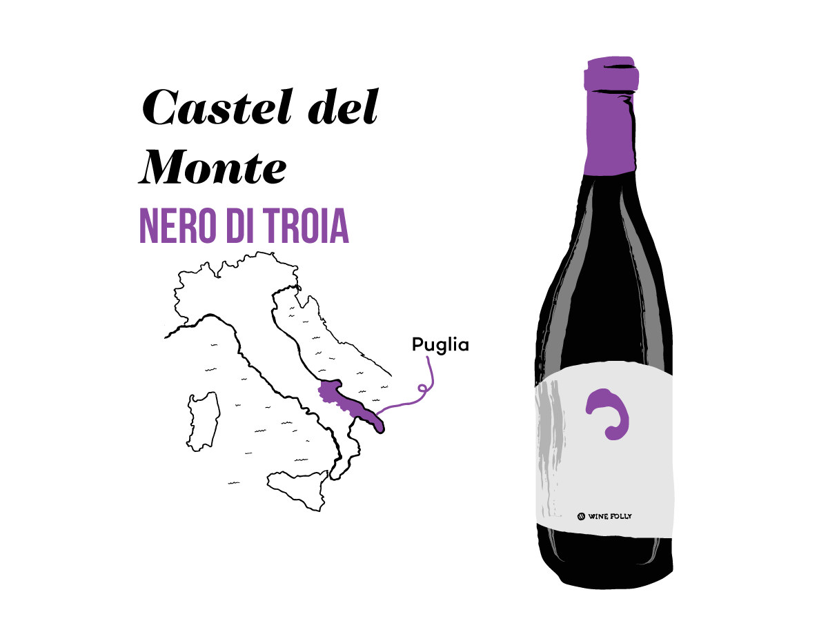 nero-troia-ilustracija-winefolly