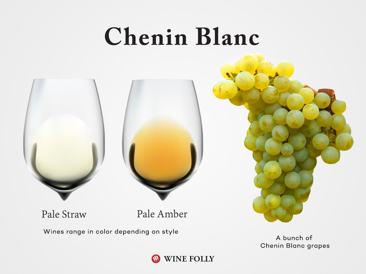 „Chenin Blanc“ vynuogės ir vynas taurėje su „Wine Folly“ spalvomis