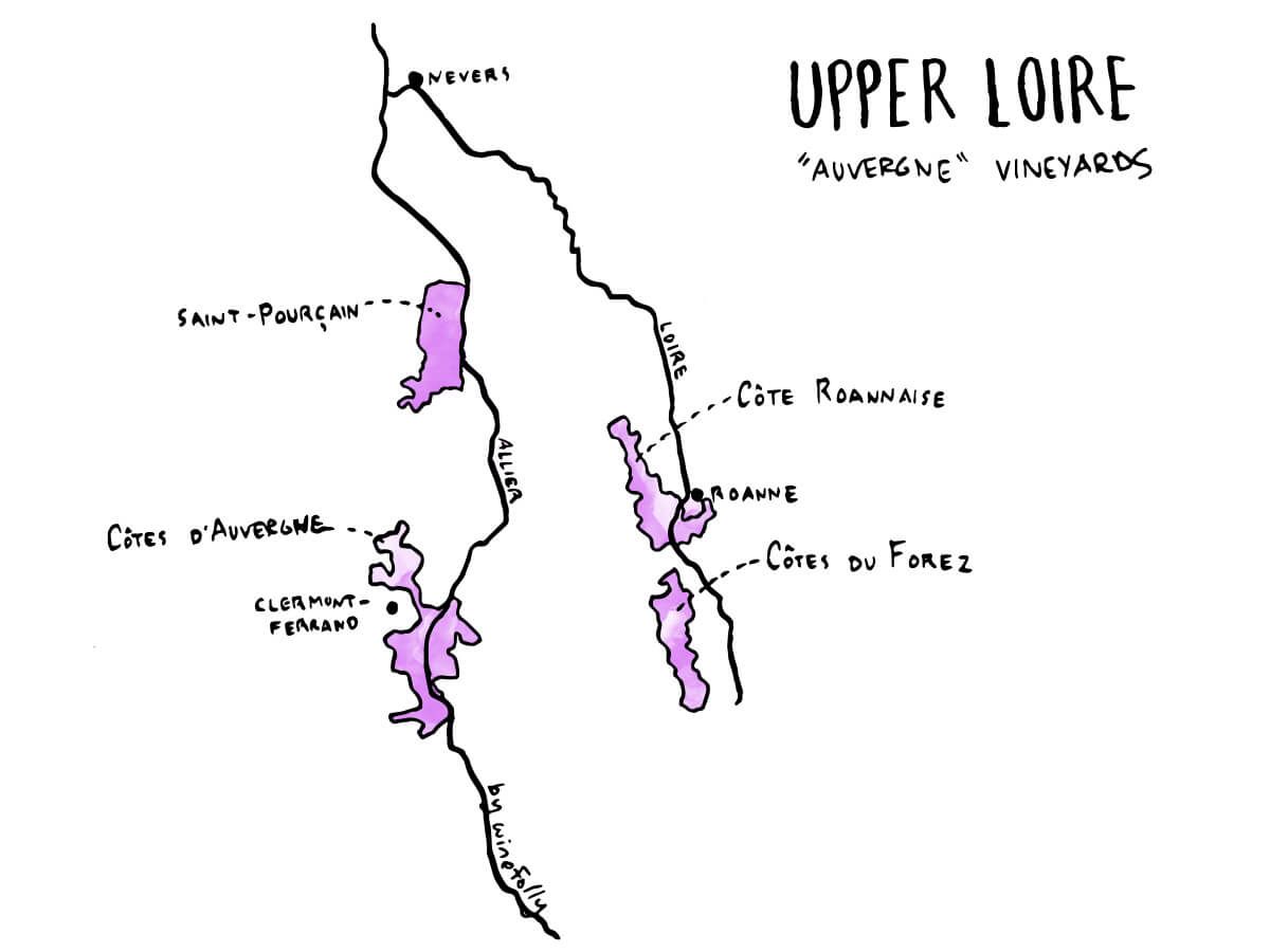 Viršutinis Luaros vyno žemėlapis-iliustracija-vynuogė