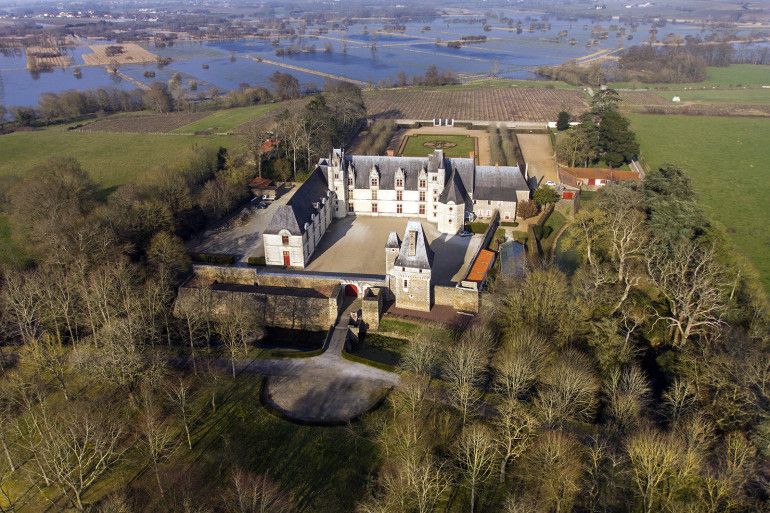 Photo aérienne des vignobles du Château de Goulaine dans la vallée de la Loire