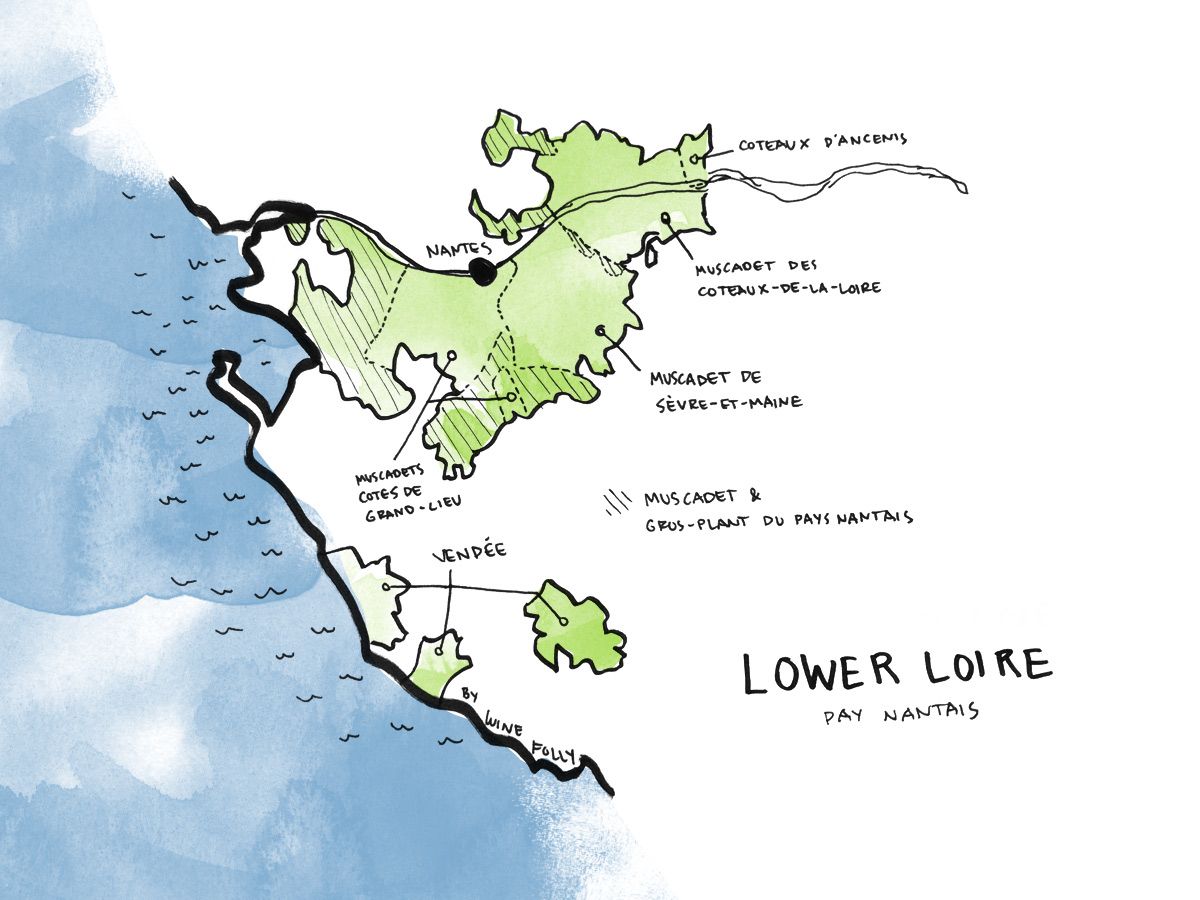 Mapa del vi de la Vall del Loira inferior per Wine Folly