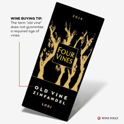Old Vines ne anlama geliyor Wine Folly