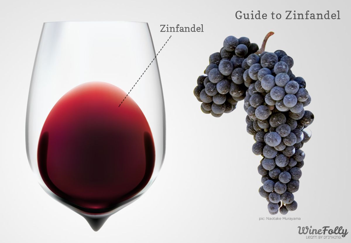 Guía del vino Zinfandel