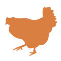 Icono de pollo