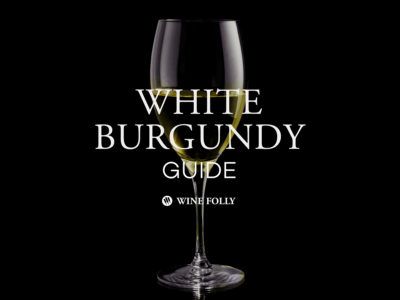 Una guía para el Borgoña blanco, un Chardonnay francés de Wine Folly