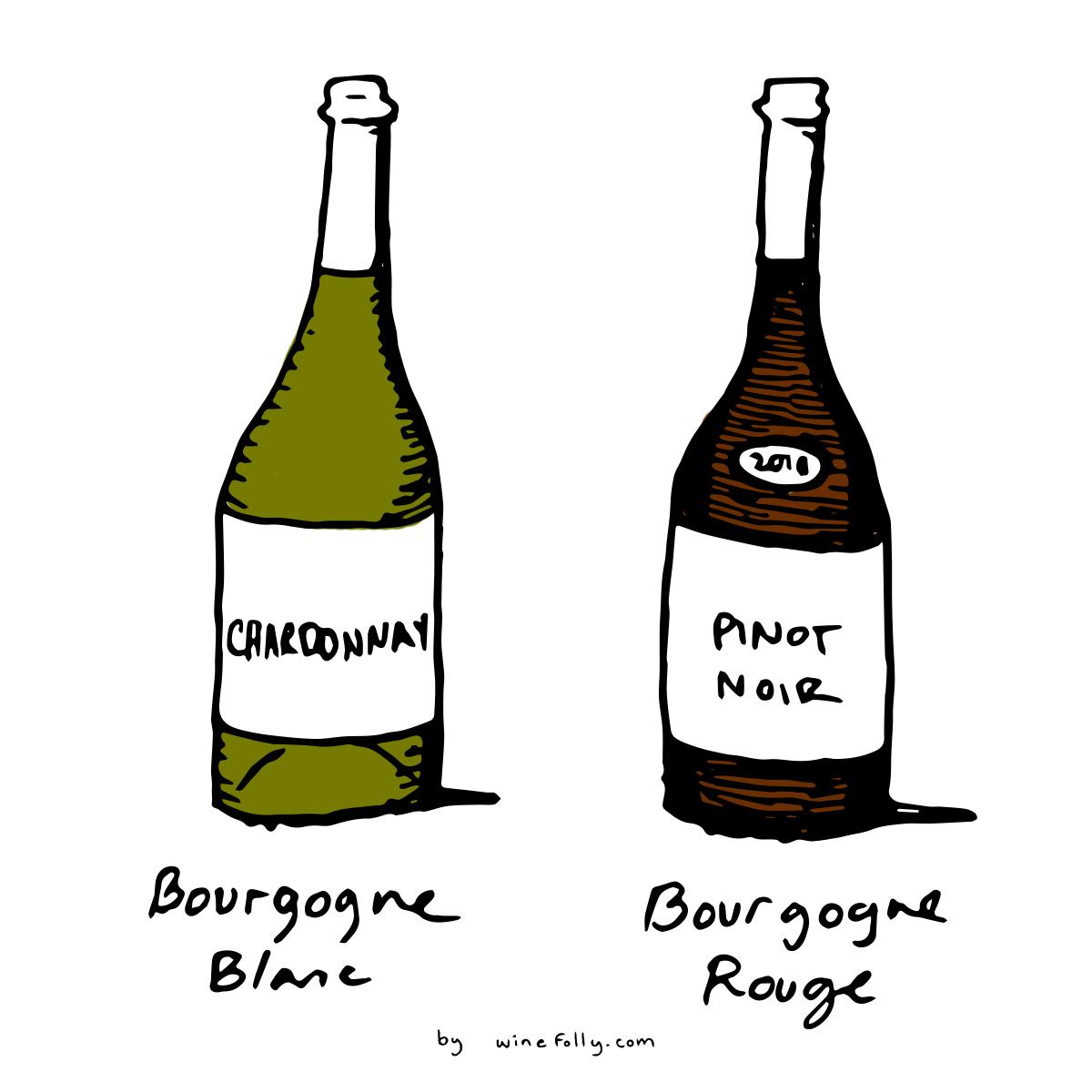 Chardonnay og Pinot Noir er de to primære druer fra Bourgogne (Bourgogne) Blanc og Rouge vine - illustration af Wine Folly