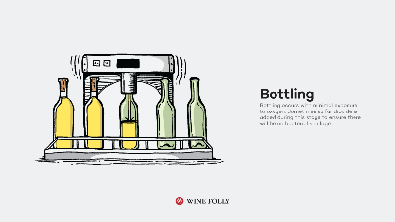 How-White-Wine-Is-Made-bottling