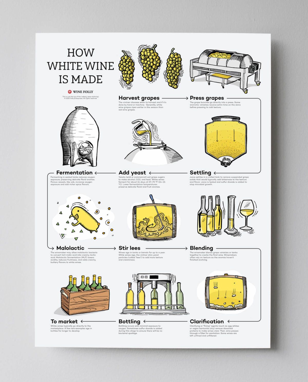how-white-wine-is-made-poster-grey-bg
