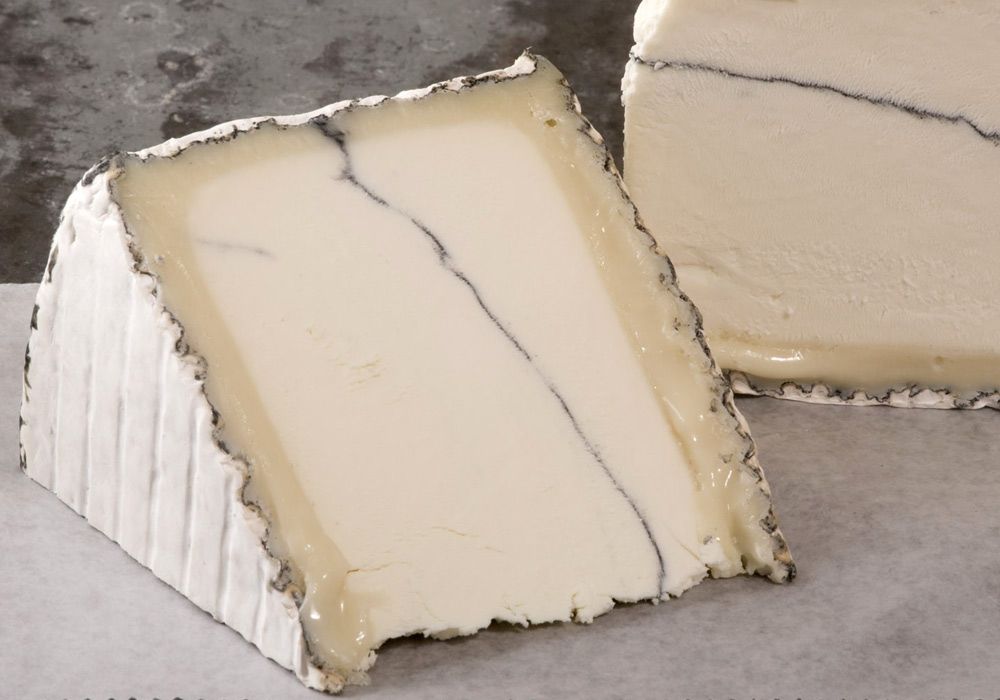 גבינת עזים של ערפל הומבולדט