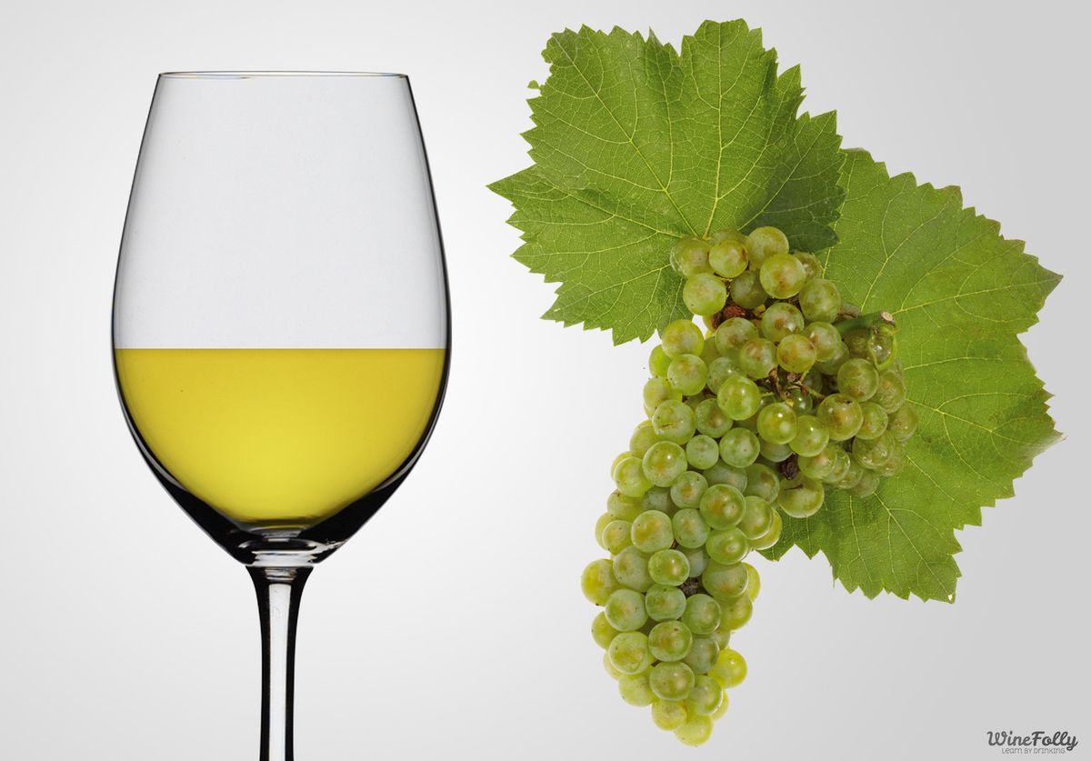 Vino iz chardonnaya v kozarcu in grozd grozdja chardonnay