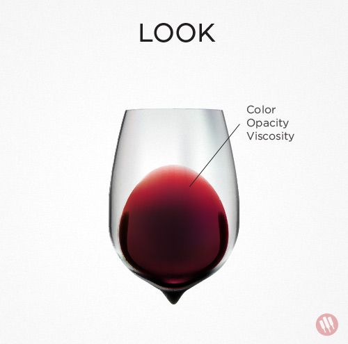 kako okusiti vino 1. korak poglej rdeče vino v kozarcu