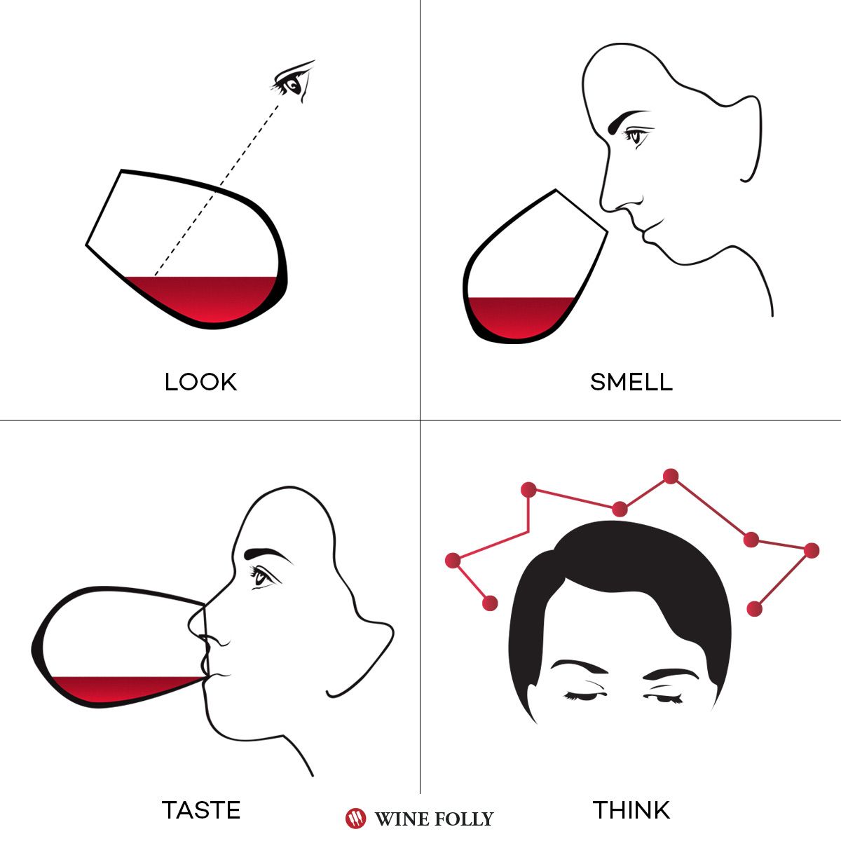 „Wine Folly“ vyno degustavimo metodo iliustracija