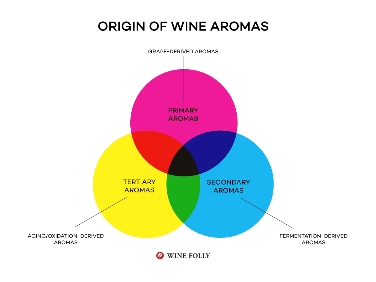 Ako sú arómy vo víne odvodené / odkiaľ pochádzajú