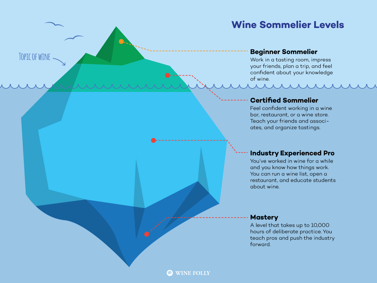 הסבר על רמות סומלייה של יין - אינפוגרפיקה מאת איוולת יין