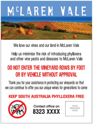 phylloxera free south Australia sign McLaren Vale
