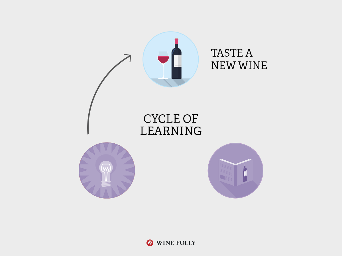 Vyno gif mokymosi ciklas