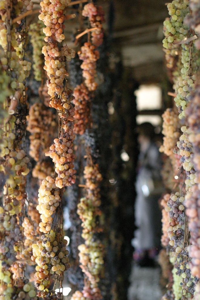 Raisins séchant dans les chevrons au Castello di Volpaiasuch in Chianti. par Chris Pencis