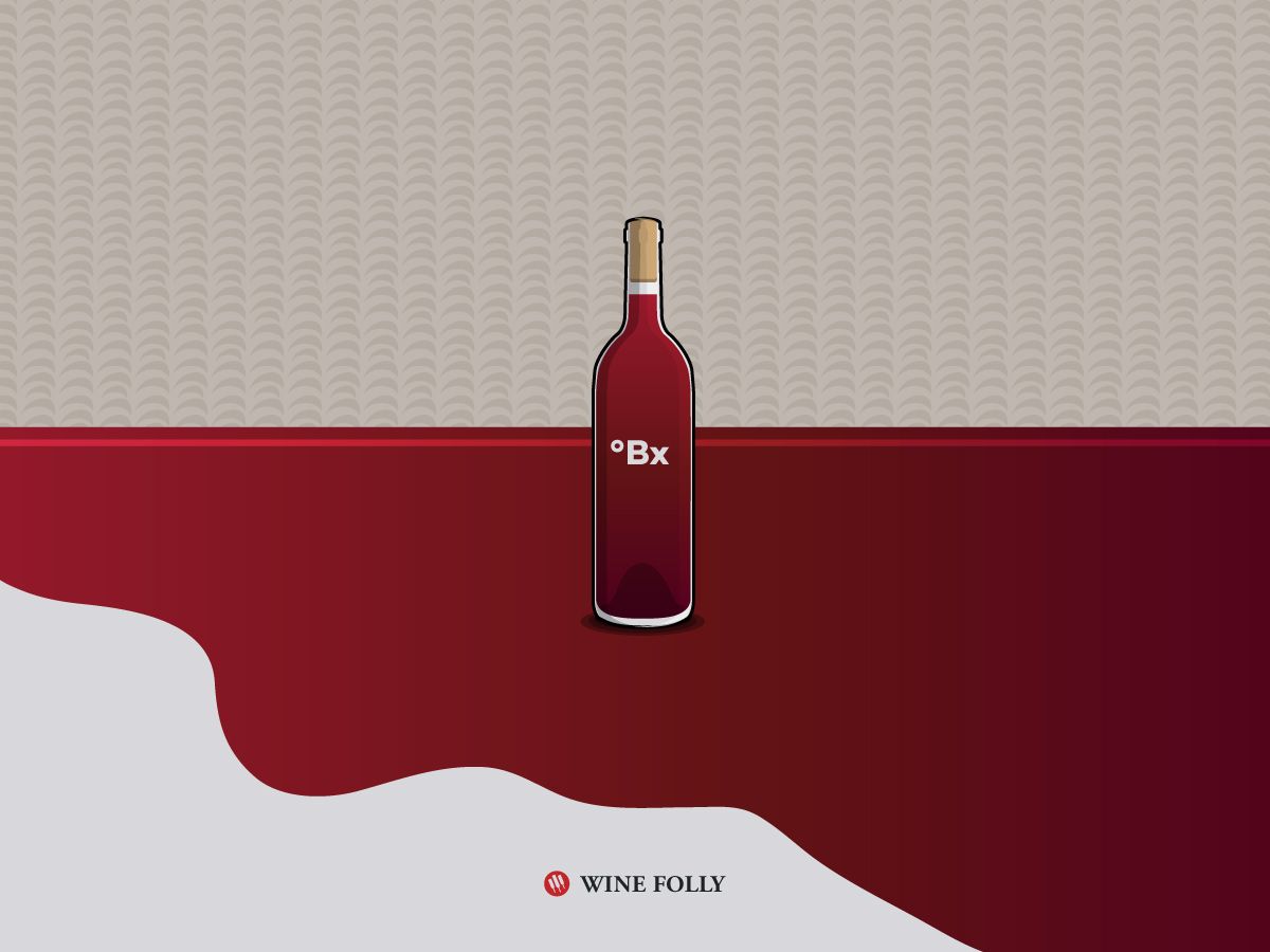 brix v ilustraciji vina v ilustriranem bazenu vina