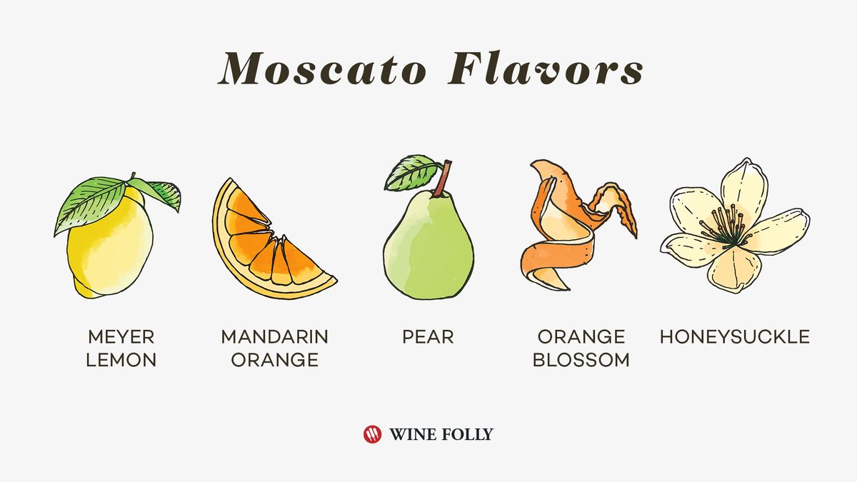 „Moscato“ vyno skoniai pagal „Wine Folly“