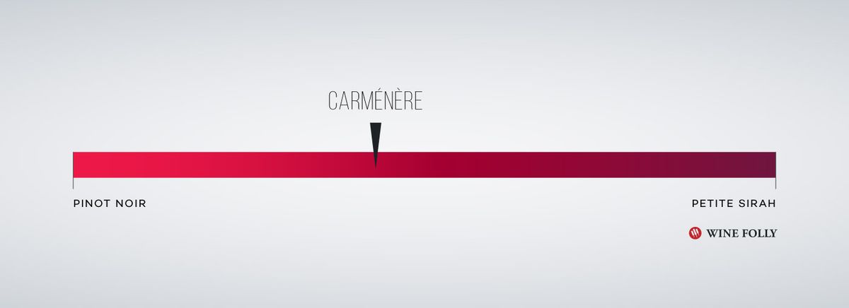 Profil de comparaison du goût de Carmenere par Wine Folly