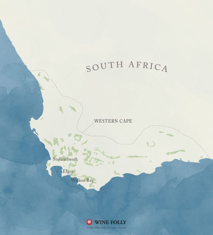 Dienvidāfrikas Sauvignon Blanc vīna karte, ko sagatavojusi Wine Folly