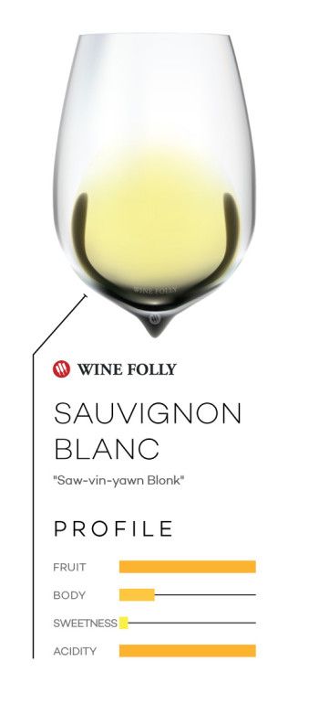 Vin de Sauvignon Blanc dans un verre avec profil gustatif et prononciation