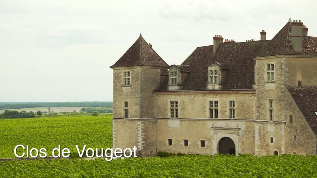 Vyno regionas - Burgundija - Clos de Vougeot