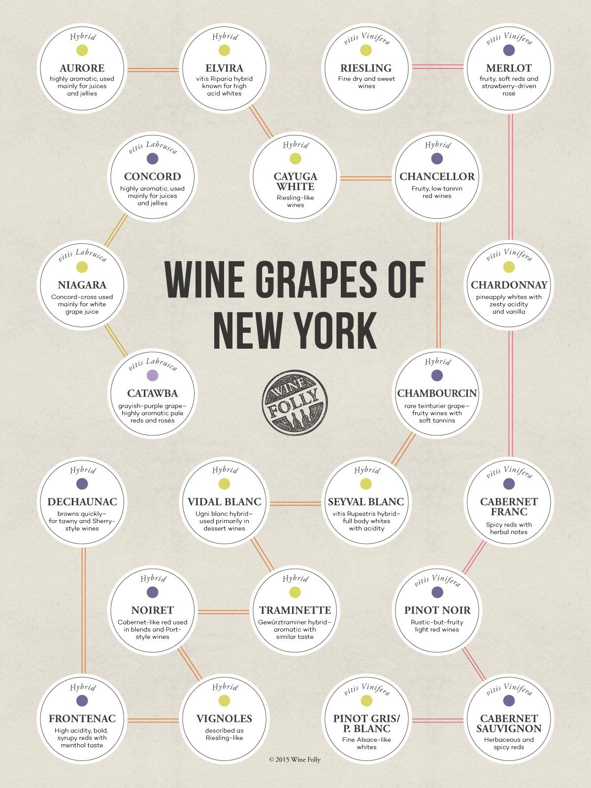 Les raisins de New York par Wine Folly