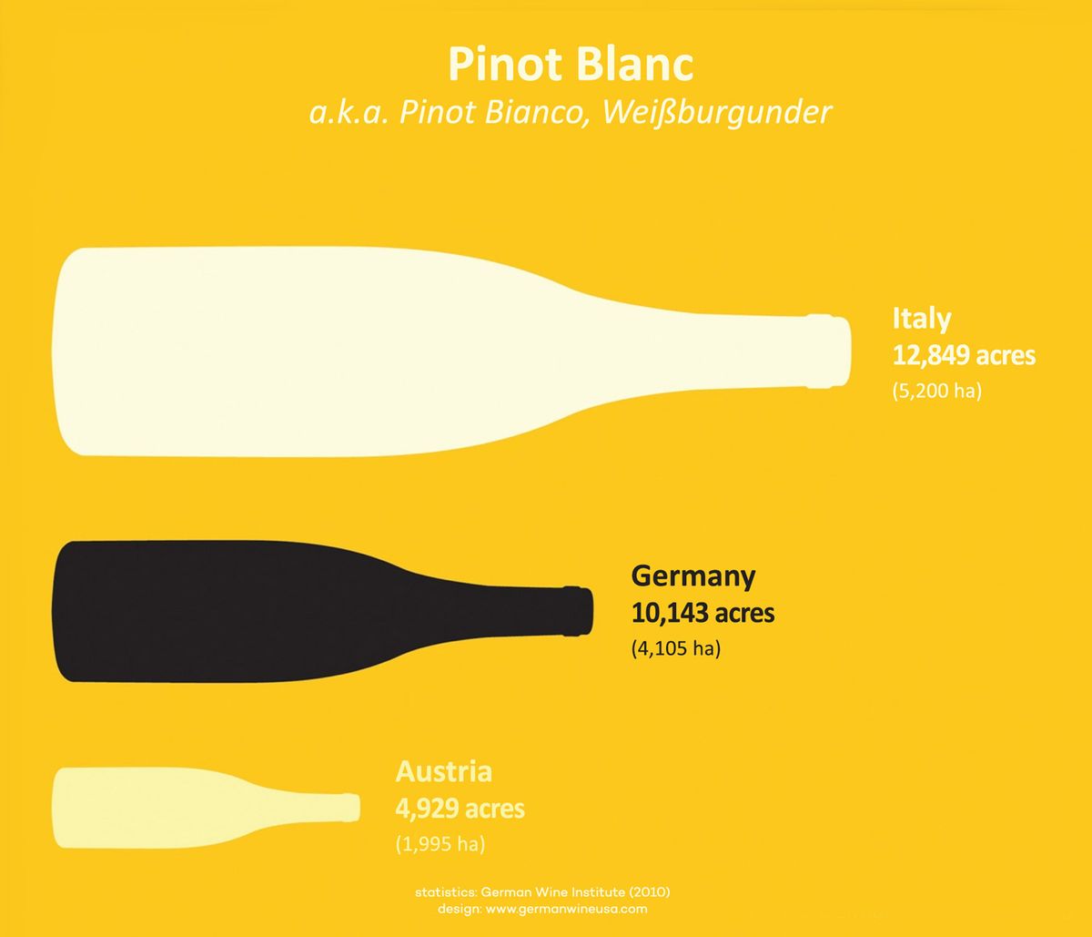 أفضل منتجي Pinot Blanc للإحصاء في العالم