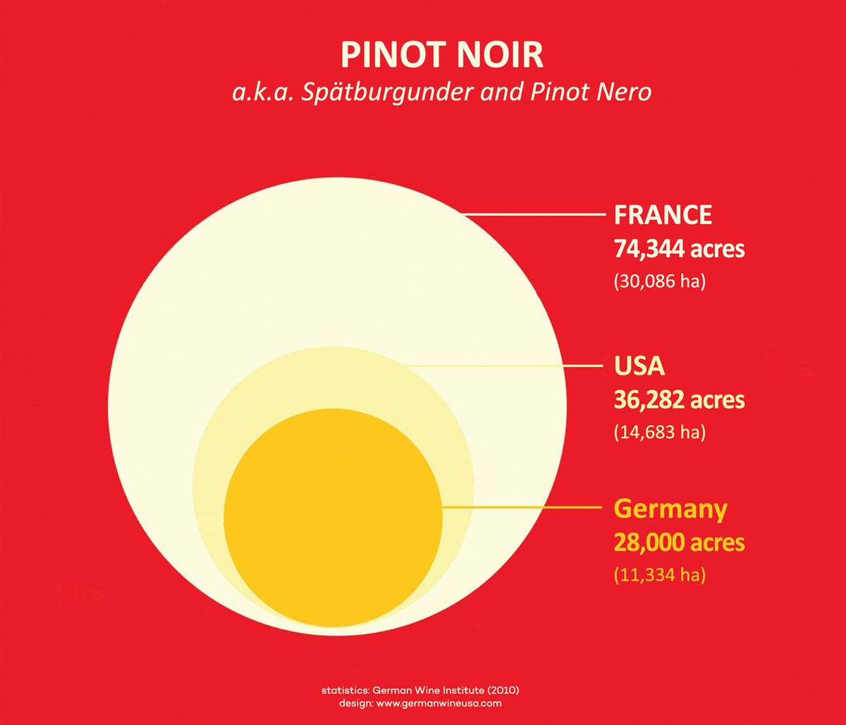 إحصائيات منطقة الإنتاج الأعلى Pinot Noir