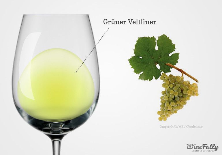 כוס יין גרונר וולטלינר עם ענבים