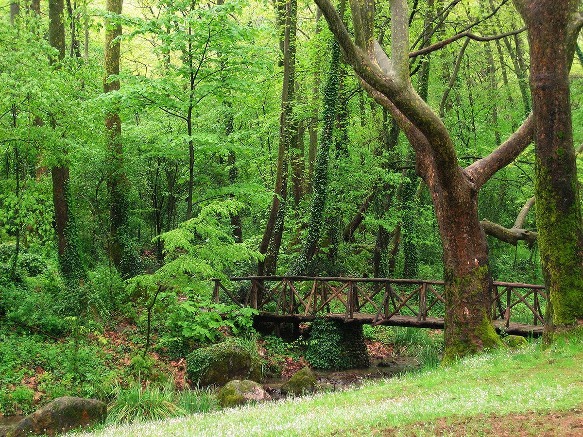 Agios Nikolaose park Makedoonias Naoussa piirkonnas Põhja-Kreekas. Autor Aris Tsagaridis