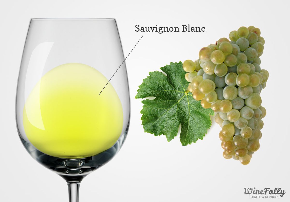 Vin et raisins Sauvignon Blanc