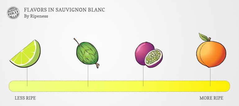 „Sauvignon Blanc“ skonio profilis pagal „Ripeness“