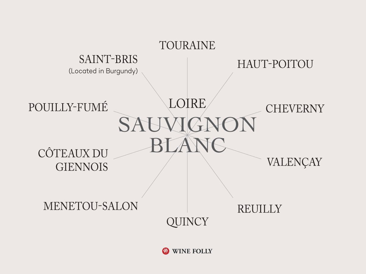 Loire Valley Sauvignon Blanc Wines (plus Saint-Bris, in Burgundy) by Wine Folly