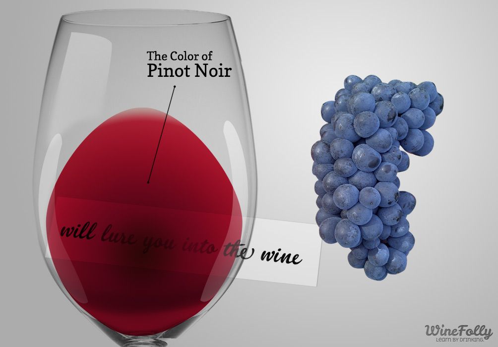 pinot-noir-vyno ir vynuogių spalva