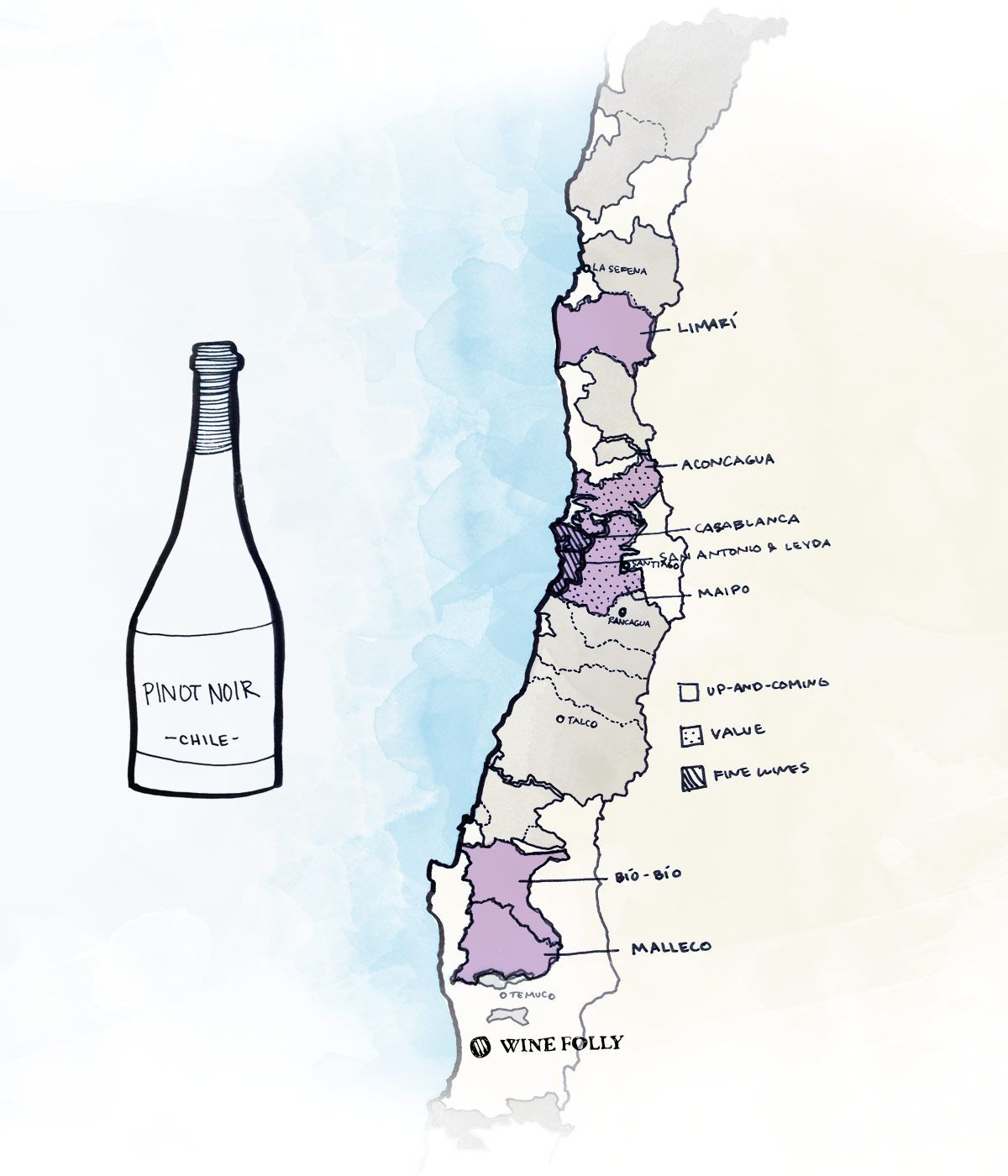 Geriausi Čilės vyno regionai, norintys ieškoti „Pinot Noir“