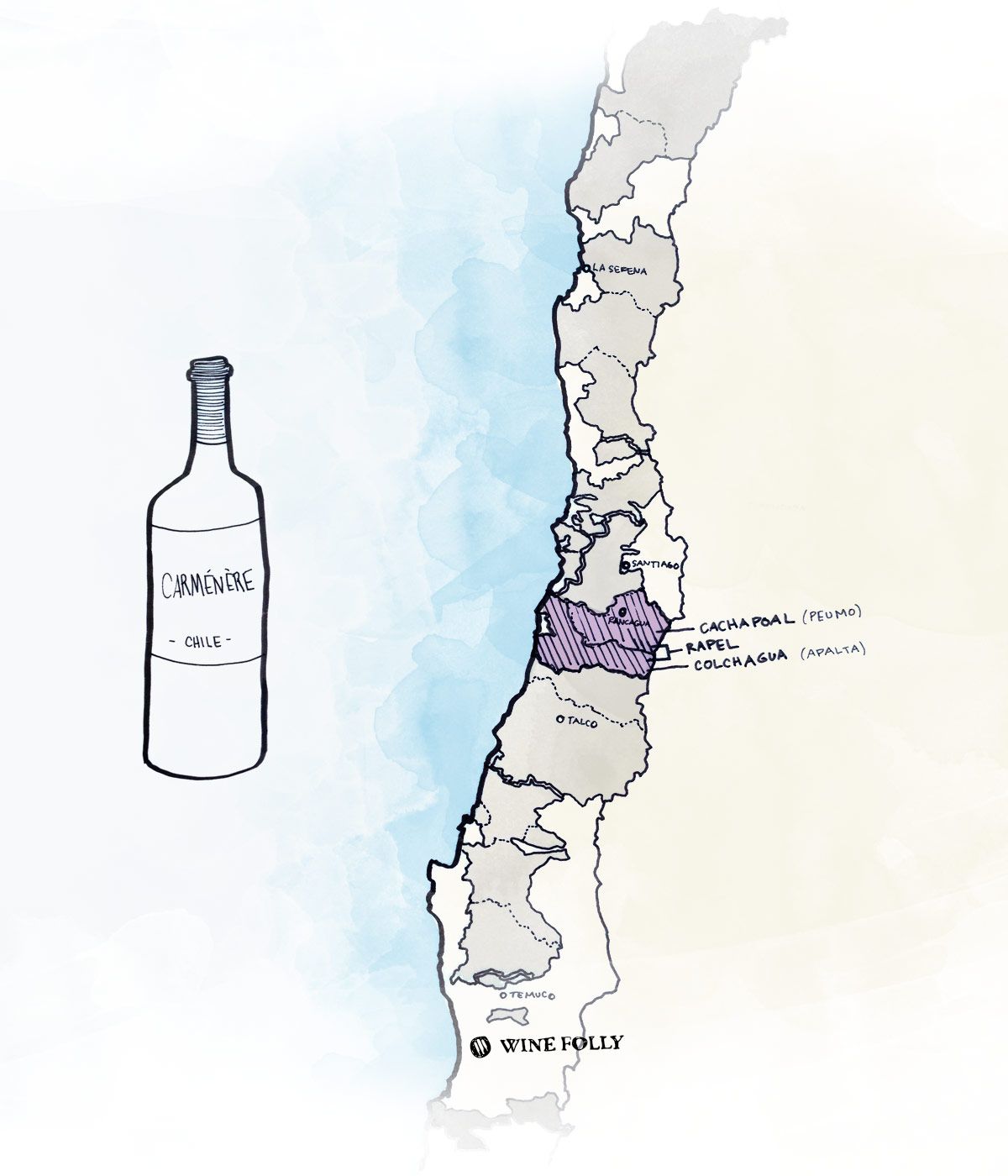 Geriausi Čilės vyno regionai, skirti raudonajam „Carmenere“ vynui