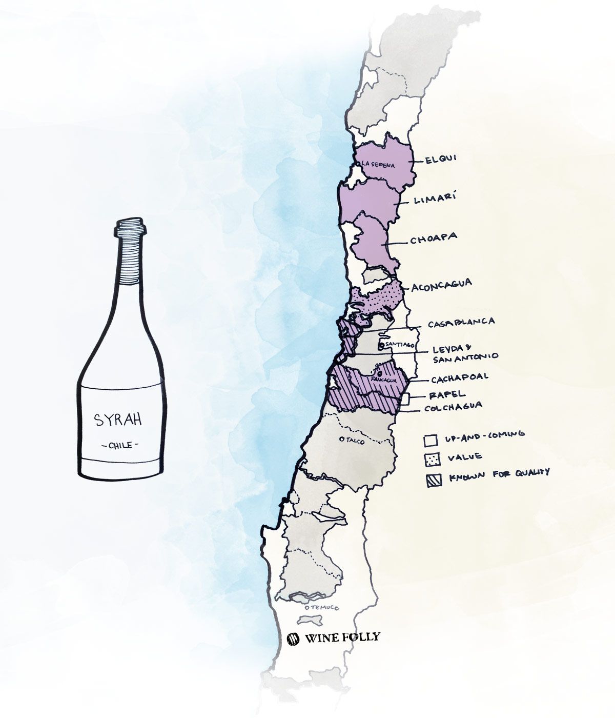 Geriausi Čilės vyno regionai, skirti „Syrah“ vynui