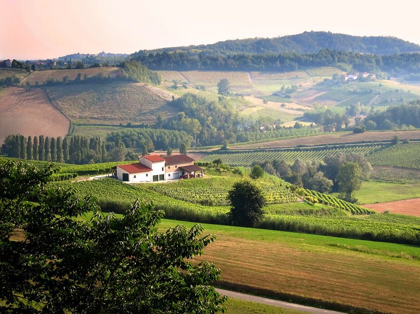Monferrato Šiaurės Italijos vyno šalis Pjemontas