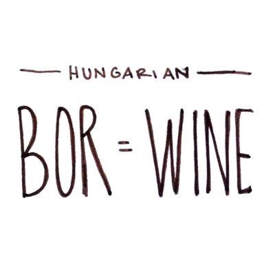 bor-wine -ungarian-wine-folly