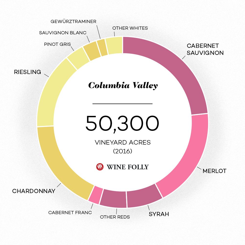Vašingtono valstijos vyno vynuogių platinimas „Wine Folly“ nuo 2016 m