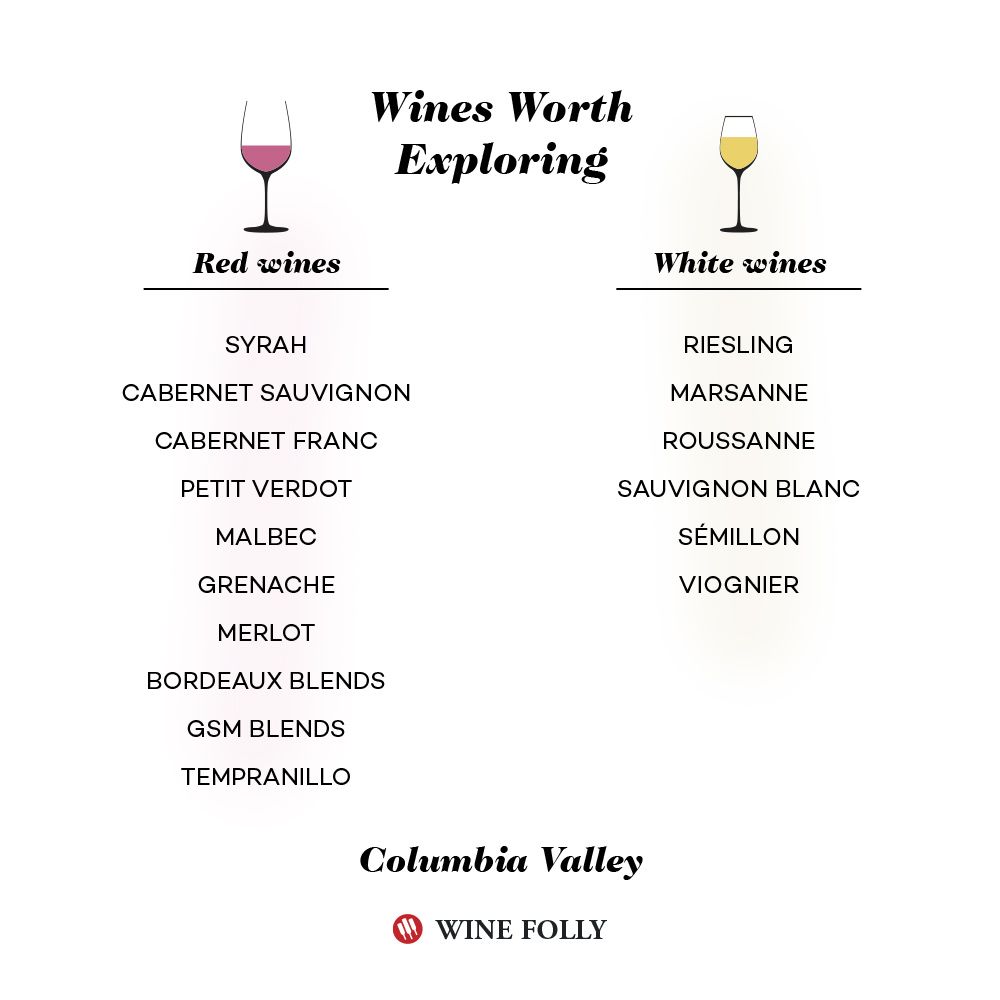 ZDA-WA-Columbia-Valley-vinske sorte