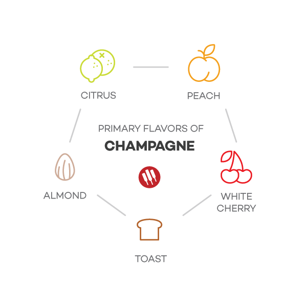 תווי טעם של שמפניה מאת Wine Folly