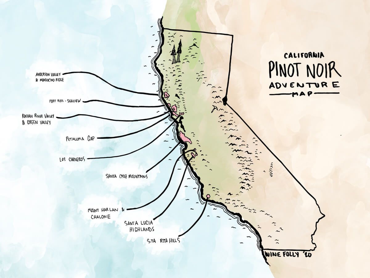 california-pinot-noir-map-winefolly-minh hoạ