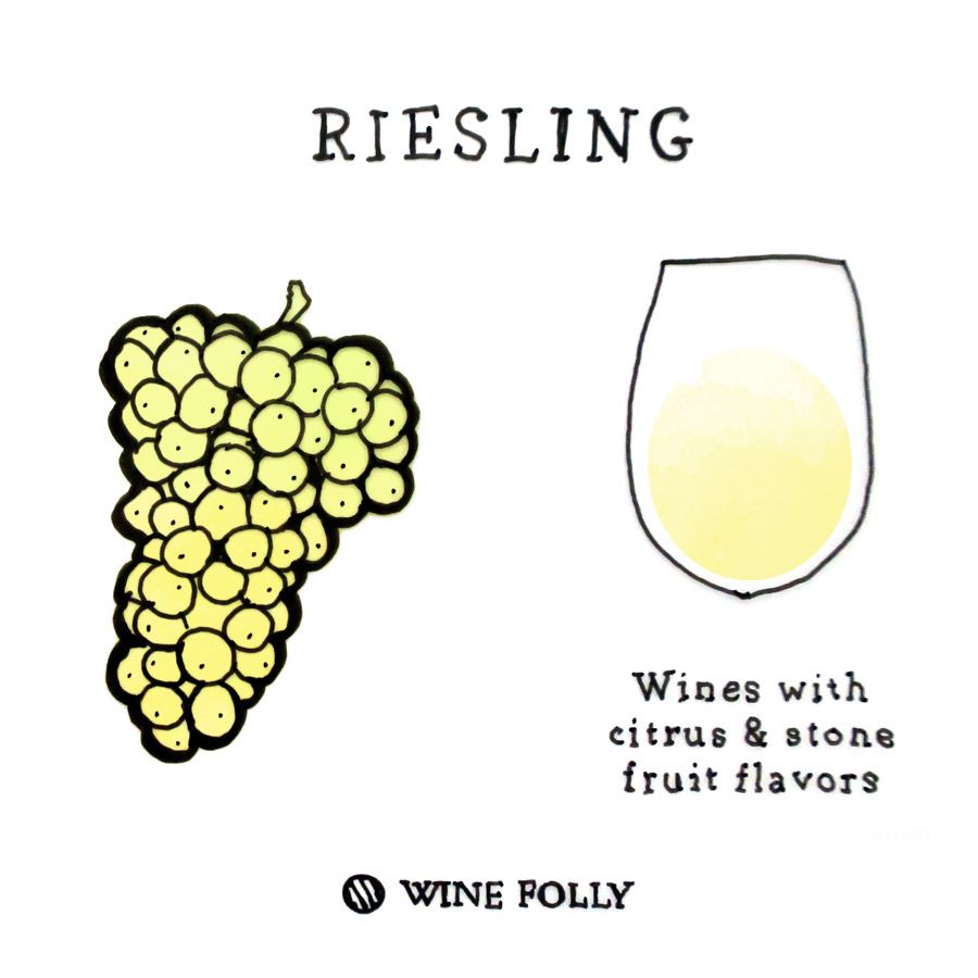 „Riesling“ vyno vynuogių iliustracija „Wine Folly“