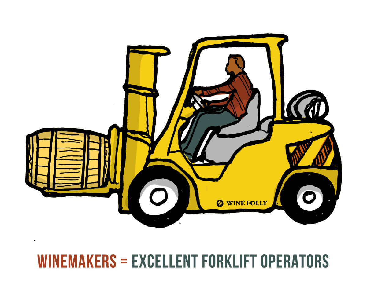 winemakers-drive-forklifts-ilustrasyon
